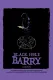 Black Hole Barry