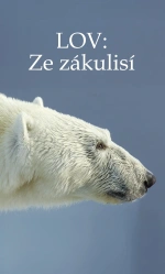 Lov: Ze zákulisí