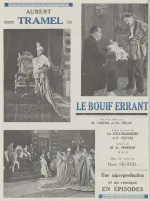 Le Bouif errant