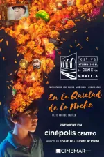 En la quietud de la noche