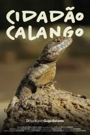 Cidadão Calango