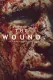 Wound, The