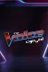 The Voice أحلى صوت