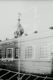 Сни в місті