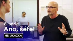 Ano, šéfe!: 37. ukázka z 8. série