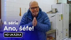 Ano, šéfe!: 38. ukázka z 8. série