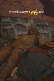 How Much Space Does A Firefly Take?