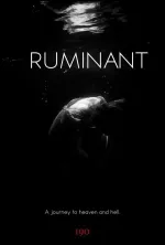Ruminant