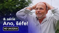 Ano, šéfe!: 41. ukázka z 8. série