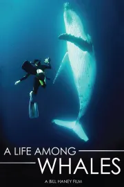 Life Among Whales, A