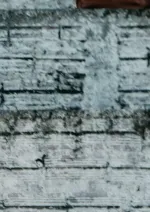 Das Cinzas às Cinzas