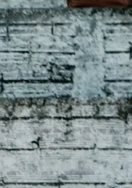 Das Cinzas às Cinzas