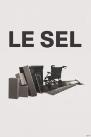 Le Sel