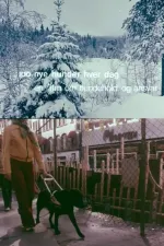 Oslofilm: Hundre nye hunder hver dag