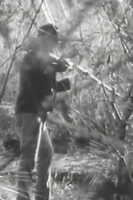 The Stringybark Creek Massacre