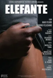 Elefante