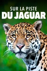 Sur la piste du jaguar au Guyana