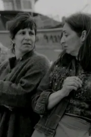 As Gaivotas Cortam o Céu