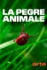 La pègre animale: la vie secrète des parasites