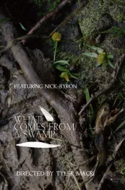 What Comes from a Swamp