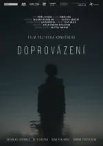 Doprovázení