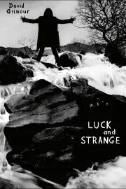 David Gilmour: Luck And Strange