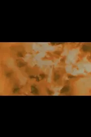 Locust of the Swollen Quiet