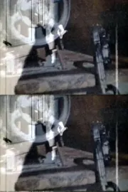 L'Enigma di Isidore Ducasse