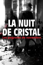 La Nuit de cristal : Les pogroms de novembre