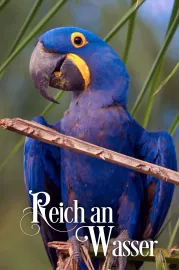 Mokřady: Pomíjivé oázy