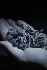 Queste cose non avvennero mai ma sono sempre