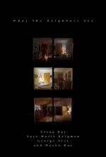 What the Neighbors See