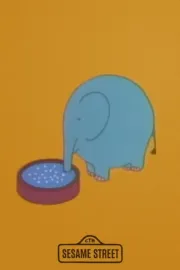 1-5 Counting Zoo Animals