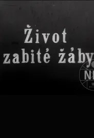 Život zabité žáby