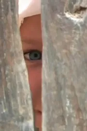 Погледни го животот низ моите очи