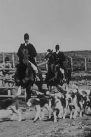 Chasse au Renard: Le Départ