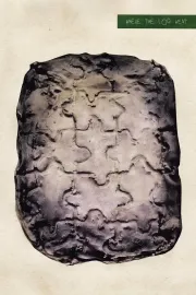 Kam se je odneslo hlod