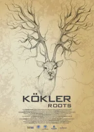 Kökler
