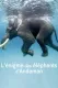 L'énigme des éléphants d'Andaman