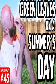 Green Leaves On A Summer's Day