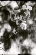 Mil días, mil noches