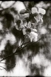 Mil días, mil noches