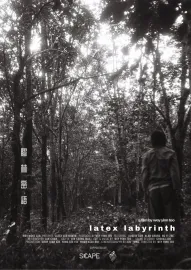 Latex Labyrinth