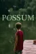 Possum