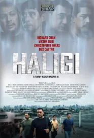 Haligi