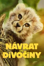 Návrat do divočiny