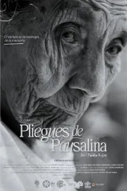 Pliegues de Pausalina