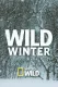 Wild Winter