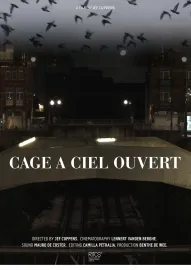 Cage À Ciel Ouvert