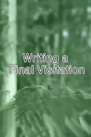 Writing a Final Visitation